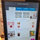 삼천포어린이집 | 안산 아이랑 가기 좋은 안산고양이카페 우다다다고양이카페 힐링 후기