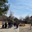 처인 견인차량 보관소 | 주말 에버랜드 로스트밸리 워킹사파리 후기-실제 대기 시간, 유모차, 큐패스