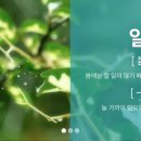 일비특허법률사무소