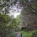 우중불고기 이미지