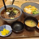 마이카츠도남점