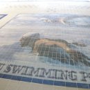 진주실내수영장 이미지