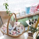 헤미쉬플레르