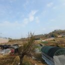 사랑채공인중개사사무소 이미지