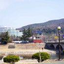 삼화만두 - 중구 남성로 58-1 | 삼화만두