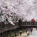 꽃비 - 달서구 상원로15길 79 | 꽃비