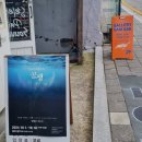 공생 | 강릉 전시 갤러리 감각- &#39;강릉인어연구소 &lt;공생&gt;&#39;전 후기