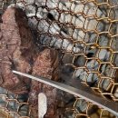 운동장화로구이 이미지