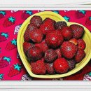 행복미소 동물약국 이미지