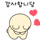 #예솜헤어