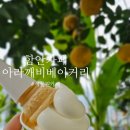 온새미로목장 | 경남대형카페 함안 아라깨비 베이커리 식물원카페 재방문후기