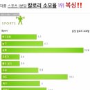 송강 홍복싱 이미지