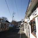 보성꽃식물원 이미지