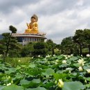 임석 경로당 이미지