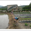 위례초등학교 병설유치원 이미지