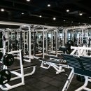 뉴핏휘트니스 이미지