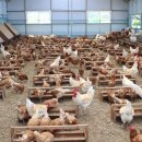 한울타리농장 이미지