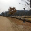 플로라룸