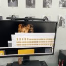 지웅동물병원 | 강아지프로필 비숑프로필 동탄강아지사진잘찍는곳 동탄애견동반사진관 사진by지웅 내돈내산후기