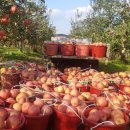 고래골농장 이미지