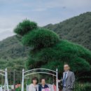 밸리애