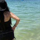2025 비진도🏖️