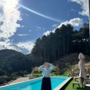 스테이수목 이미지