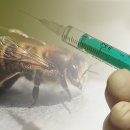 동해명가한의원 이미지