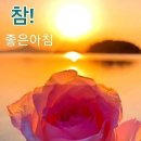 비비스포츠댄스