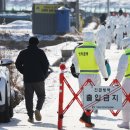 연합가축병원 이미지