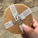 나라약국 | 일본 오사카 나라공원 사슴 물림 사고 | 실제로 물려본 후기 및 대처 방법 가까운 약국 위치