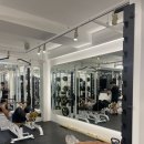 바디온핏 이미지