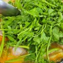 현대물텀벙이 이미지