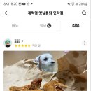 계혁명치킨 이미지