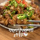 치킨플러스부산정관 | 🔥🍗부산3대치킨 인정, 정관 고향통닭 후기 🍺🐓