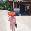 백제장 이미지