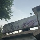 [경주 맛집] 경주 현지인 맛집 ‘장군암소숯불’ 가성비 한우 솔직 후기