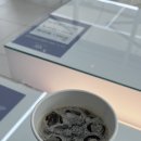 모짜르트미용실 이미지