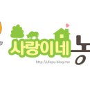 천연산야초농장 이미지