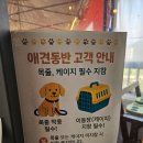 씨유평택부락산공원점 | 평택 부락산 등산 후 필수코스 닭볶음탕 찐맛집 부락산주막 애견동반 후기