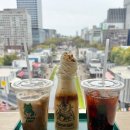 카페 뷰(cafe view) | 나고야 미라이타워 카페 Alison Cafe 사카에 뷰 카페 후기