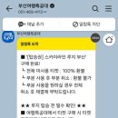 스카이라인루지부산주식회사 네이버블로그
