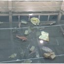 용인실내바다낚시터 이미지