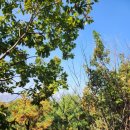 노원골유아숲 이미지