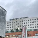 가톨릭대학교 부천성모병원 이미지