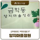 양지마을2길 이미지