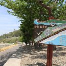 향촌소공원 이미지