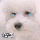 나도