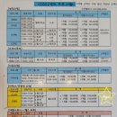 신안웰리스