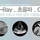 치유동물의료센터 이미지